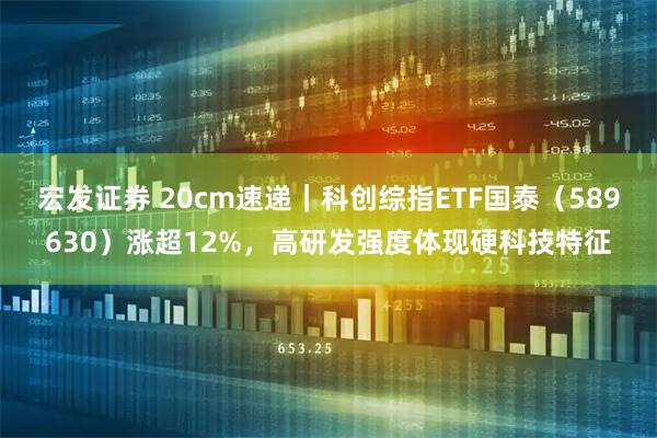 宏发证券 20cm速递｜科创综指ETF国泰（589630）涨超12%，高研发强度体现硬科技特征