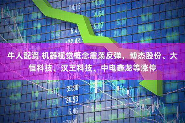 牛人配资 机器视觉概念震荡反弹，博杰股份、大恒科技、汉王科技、中电鑫龙等涨停